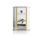 Miniatura de Aceite de Oliva Virgen Extra Lata de 100 ml - La Chinata Miniatura de Aceite de Oliva Virgen Extra Lata de 100 ml - La Chinata