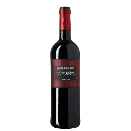 Vino La Planta Ribera del Duero 75 cl