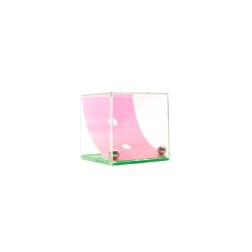 Regalo infantil juegos de habilidad