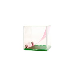 Regalo infantil juegos de habilidad
