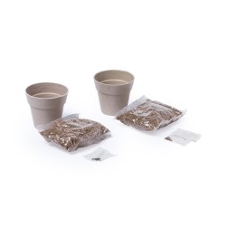 Set Macetas Menta y Perejil