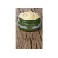Crema Regeneradora Intensiva con AOVE Ecológico y Aloe Vera de La Chinata Crema Regeneradora Intensiva con AOVE Ecológico y Aloe Vera de La Chinata