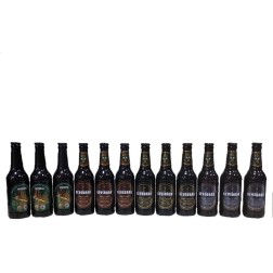 Lote Degustacion 12 Cervezas Artesanas