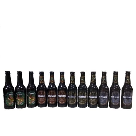 Lote Degustacion 12 Cervezas Artesanas