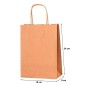 Bolsa de papel kraft de 18 x 8 x 24 cm Bolsa de papel kraft de 18 x 8 x 24 cm