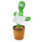 Cactus Bailarín con canciones Cactus Bailarín con canciones