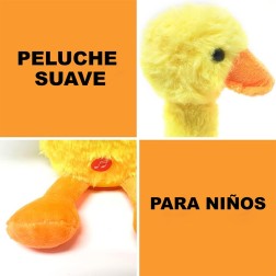 Pato Bailarin, parlanchin con canciones
