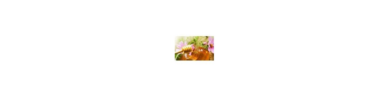 Comprar miel monofloral de Extremadura natural y pura online