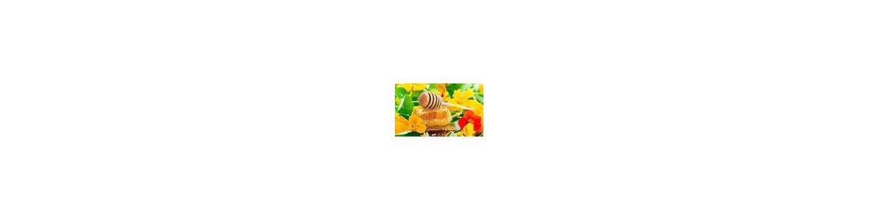 Comprar miel multifloral natural online de Extremadura